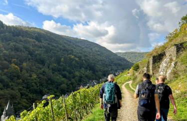 Bacchus Holiday Homes - Foto 34