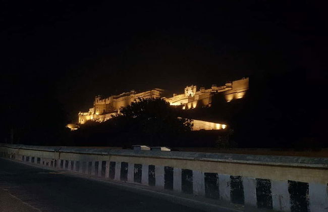 Tour nocturno privado por Jaipur - Foto 4