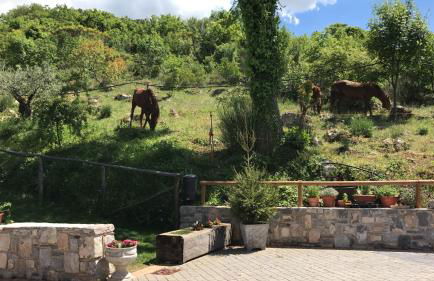 Agriturismo Terra Verde - Foto 24