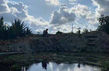 Fazenda Terra Bonita - Foto 9