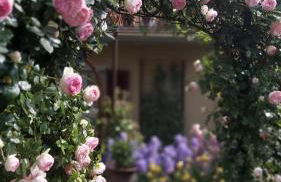 Suite vista panoramica giardino e montagne - Foto 32