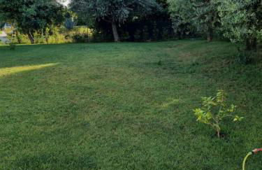 White House - Foto 39