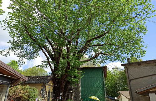 Residence le Polle - Foto 73