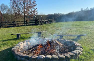 Jeleńczówka Alte Dorfschule - Foto 29