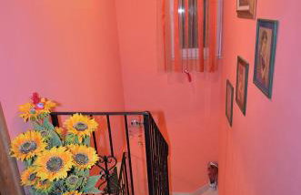 House Tihana - Photo 22