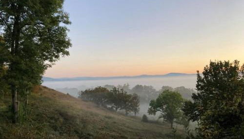 Les Distinguées -Aux Bories de Prévinquières - Photo 2