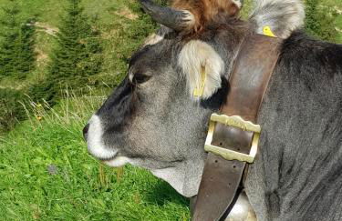 Ferienwohnung Sonthofenersee - Photo 25