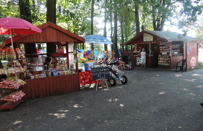 Holiday House With Swimming Pool in Morzyczyn - Photo 19