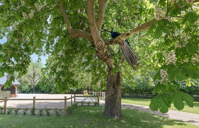 Geoff's Rest, Pond Hall Farm, Hadleigh - Foto 17