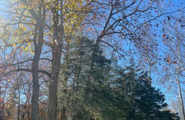 The Cottage at Dragonfly Farm - Foto 15