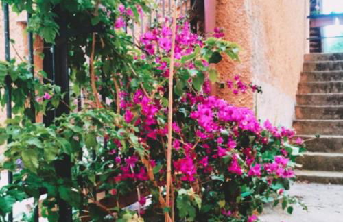 La Casetta dà Pa' e Na' - Photo 3