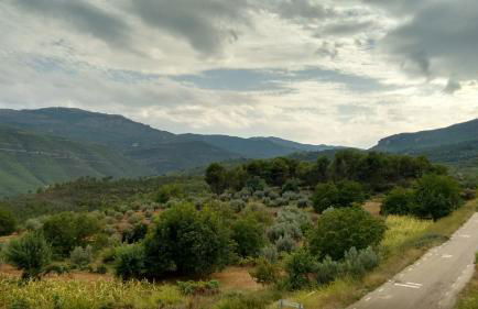 Casas Rurales Cerro Lobo - Foto 30