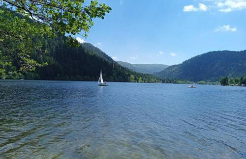 Duplex - Proche de Gérardmer - Foto 28