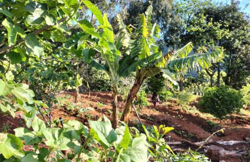 Sea Mountain House - Foto 63