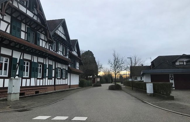 Vehículo de transporte privado con conductor Estrasburgo <=> Erstein - Foto 4