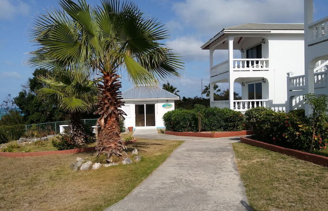 Milly's Inn - Foto 35