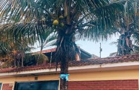 Residência - Vila Verde Mar - Foto 2