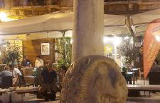 Maison Trecuori - Foto 32