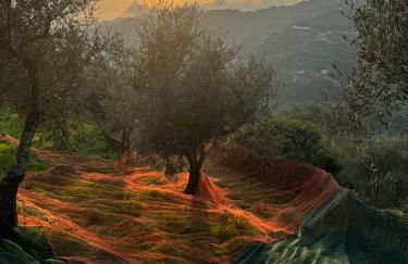 Mediterranean Retreat With Sea View In Seborga - Foto 21