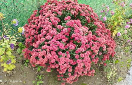 Meteora countryside villa - Foto 52