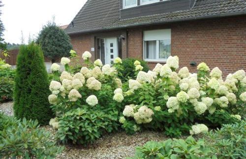 Ferienwohnung Küper - Foto 19