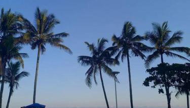 Apartamento 500M da Praia Enseada, Guarujá - Photo 3