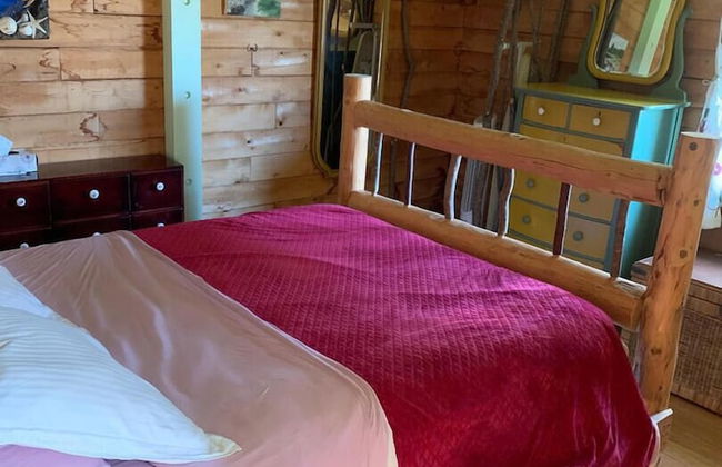 Dear Cove - Kayaking! - Foto 4