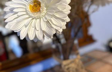 Apartamentos Nel I - Foto 51