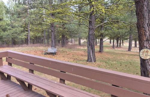 Ponderosa - Peaceful, private cabin on 5 acres by Lake Cascade - Foto 7