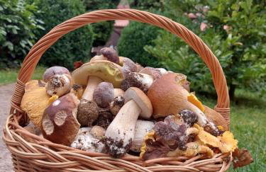 Domek u Beti 2 - Foto 31