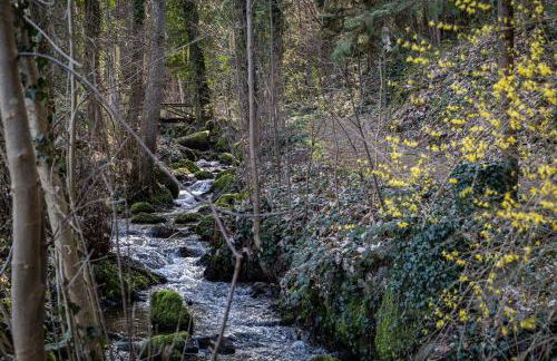 living TIMELESS - Adler Apartments Sasbachwalden - Foto 68