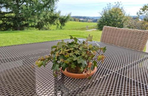 Ferienwohnung Schwarzwald-Alpenblick - Foto 48