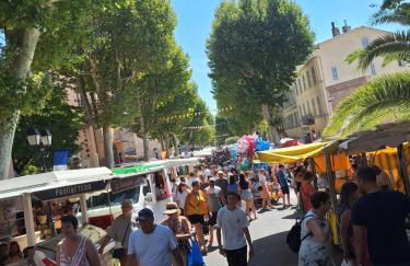 TINY HOUSE avec piscine "La Bernadette" villa Sisyphe - Foto 33
