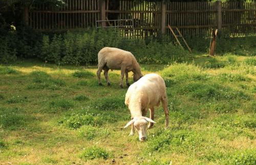 Nice apartment in Himmelkron - Foto 19