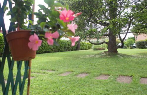 Prato Verde - Girasole - Foto 25