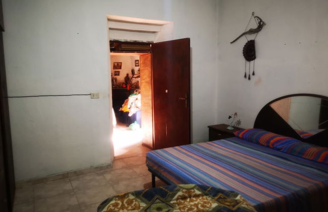 Country House in the Su Gologone Area 30 km From Cala Gonone 5 km From Oliena - Photo 25