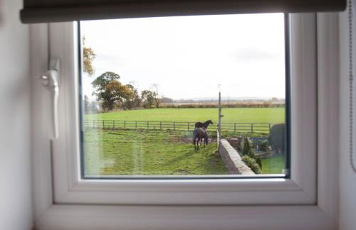 Deerholme Cottage - Foto 46