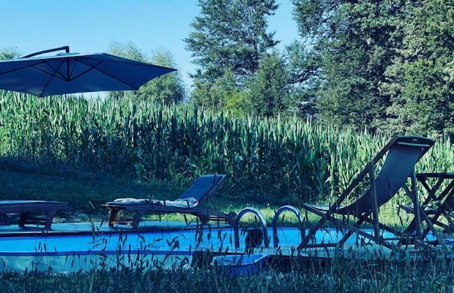 Boutique Glamping Divja DiVine - Foto 21