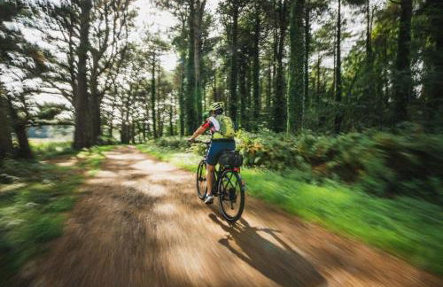 3 Bed in Ruthin oc-a29313 - Photo 35