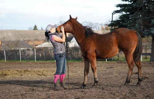 W Diamonds Ranch - Photo 14