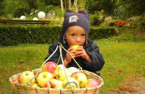 Harzer Feriengarten - Foto 46