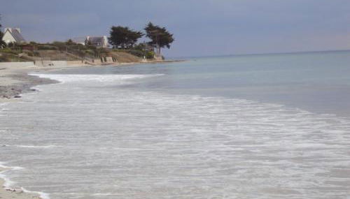 appartement fleurs - Foto 2