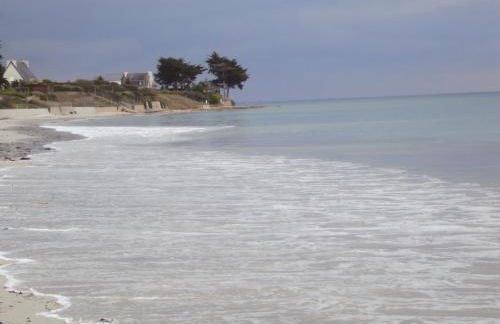 appartement fleurs - Foto 2