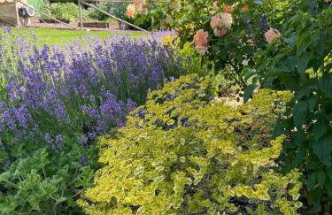 Agriturismo La Frattina - Foto 28