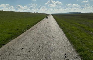 Lenis Deichblick - Foto 20