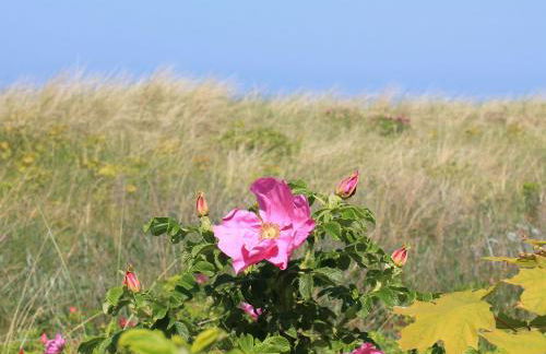 Ferienhaus in Neubukow mit Terrasse - Foto 25