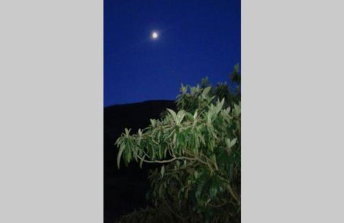 Palheirinho - Foto 36