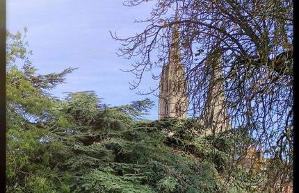 Le p'tit Beauce au Cœur de Chartres - Foto 16