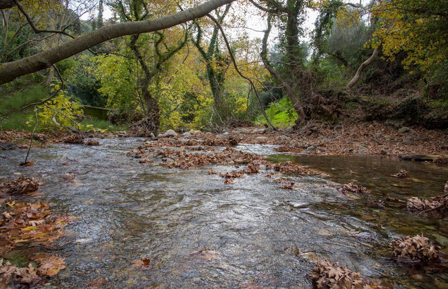 Serenity River Villa - Foto 37