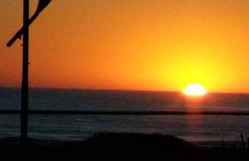 le bon vivant - Foto 40